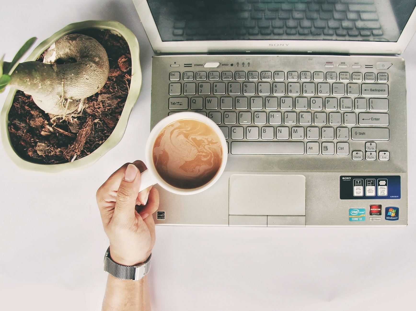 A cozy home workspace with a laptop, coffee cup and indoor plant.